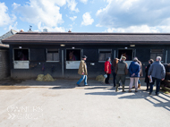 PN030422-171 - Paul Nicholls Stable Visit